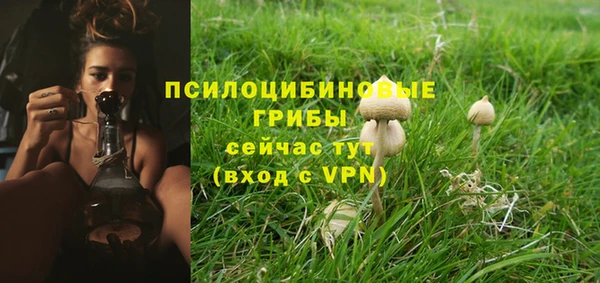 мескалин Нягань
