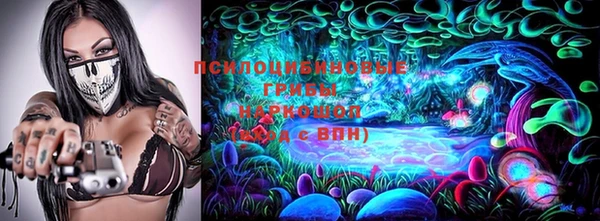 первитин Няндома