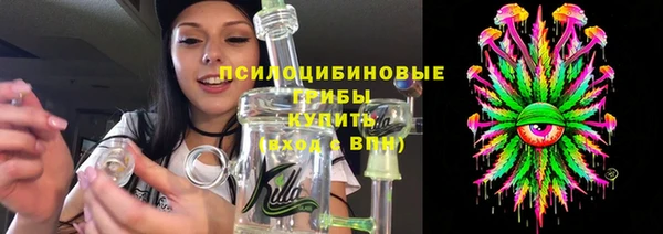 первитин Няндома
